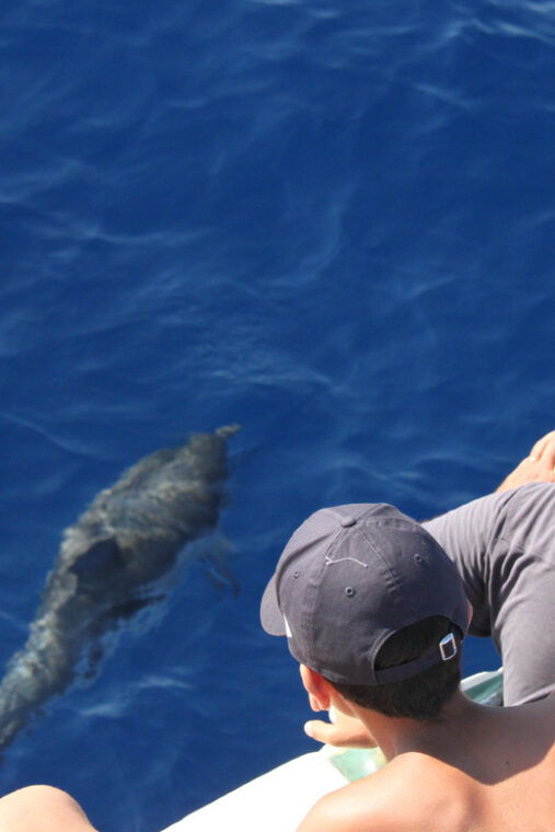 Loano: Pelagos Sanctuary Wildlife Cruise With Guide - Important Precautions for Participants