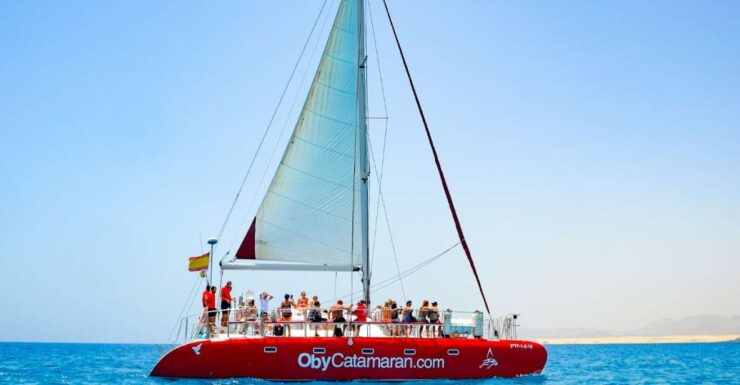 Lobos Island: 4-Hour Catamaran Trip With Lunch - Experience Highlights