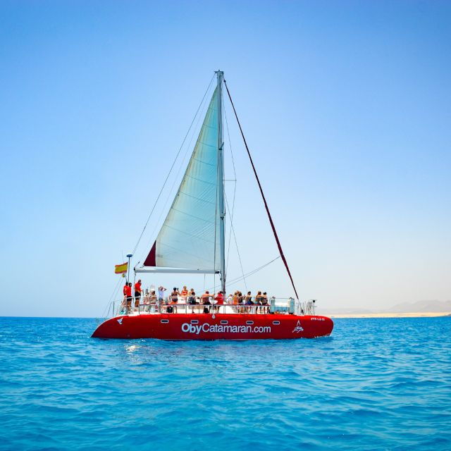 Lobos Island: 4-Hour Catamaran Trip With Lunch - Review Summary