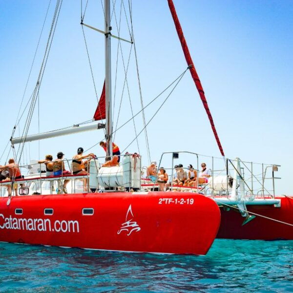 Lobos Island: 4-Hour Catamaran Trip With Lunch - Common Questions