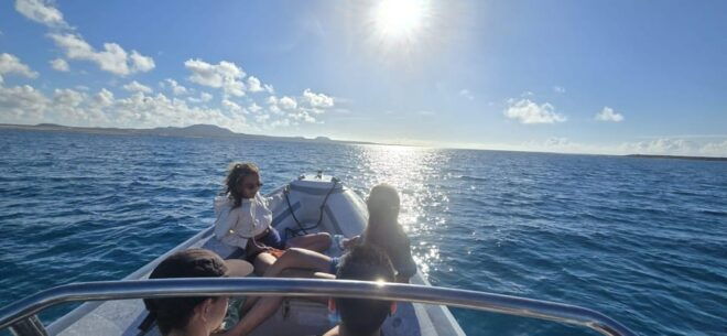 Lobos Island: Guided Turtle Searching Tour and Snorkeling - Highlights