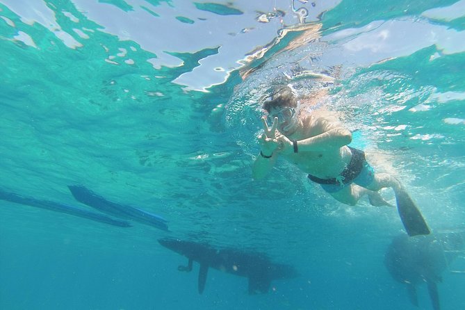 Lobos Island Private Catamaran Cruise  - Fuerteventura - Confirmation and Accessibility