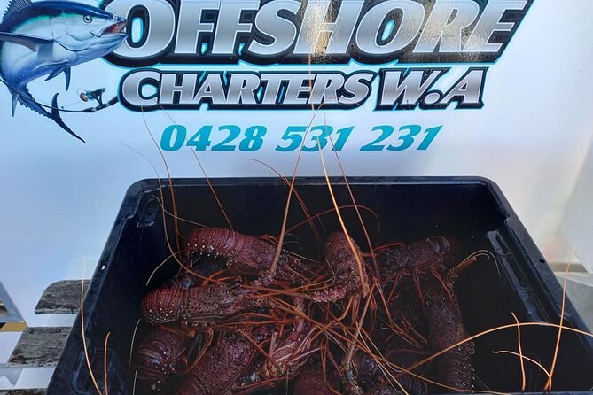 Lobster Fishing Tour at Geraldton - Pricing and Booking Information