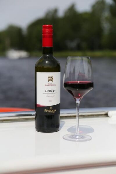 Local Cheese and Wine Cruise Through Haarlem - Exploring Haarlems Canals