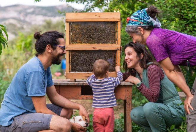 Local Culture and Nature Walk - Family Experience - Booking and Pricing Information