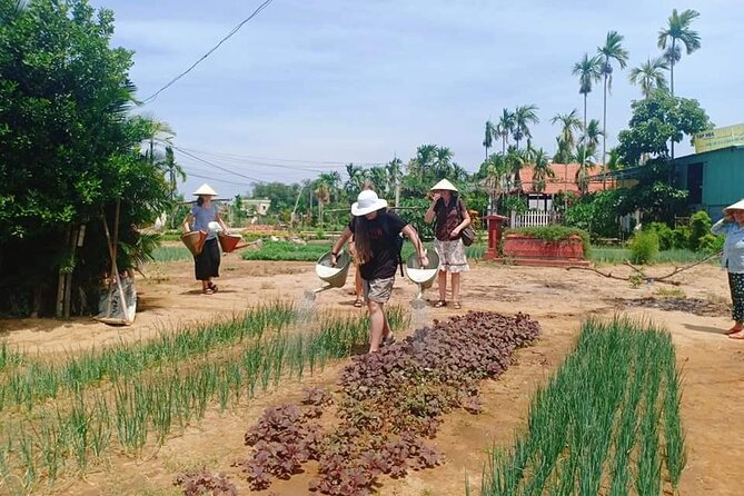 Local Daily Life of Hoi an Countryside From Hoi an - Da Nang - Exploring the Daily Lives of Locals