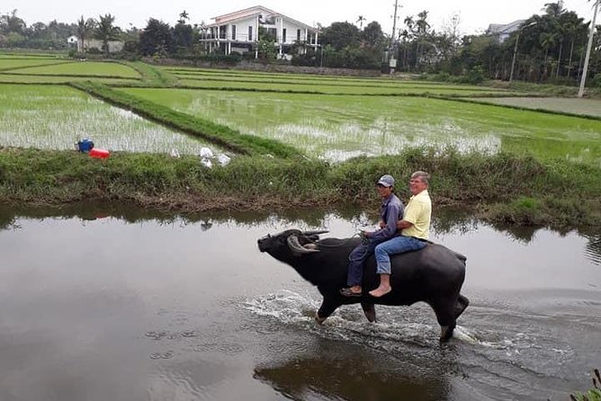 Local Daily Life of Hoi an Countryside From Hoi an - Da Nang - Pricing and Tour Details