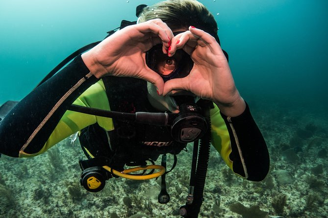 Local Dive in Playa Del Carmen - Activities and Excursions