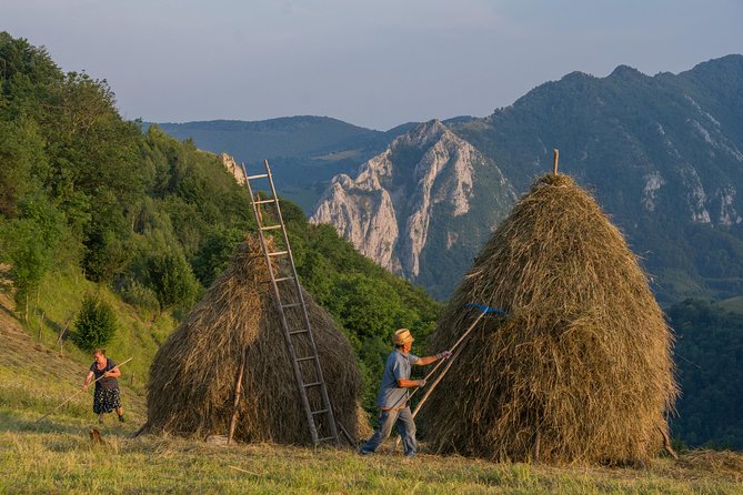 Local Experience From Brasov - Transylvanian Villages and Bran Castle - Inclusions