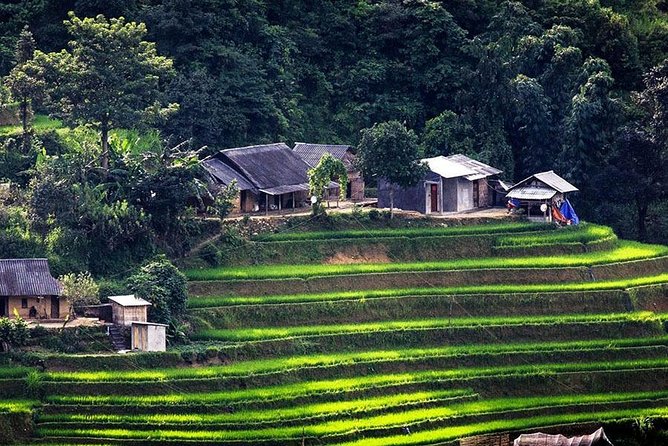 Local Experience in Sapa Trekking Tours - Cancellation Policy