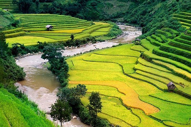 Local Experience in Sapa Trekking Tours - Authenticity Checks