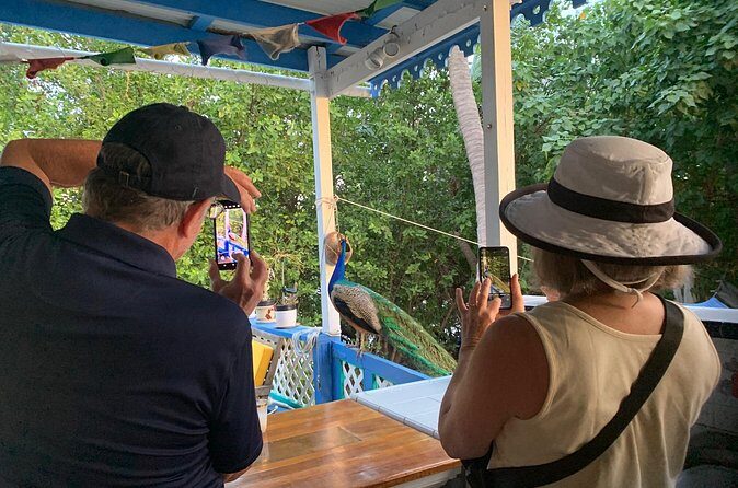 Local Experience, St. John U.S. Virgin Islands Food Tour - The Sum Up