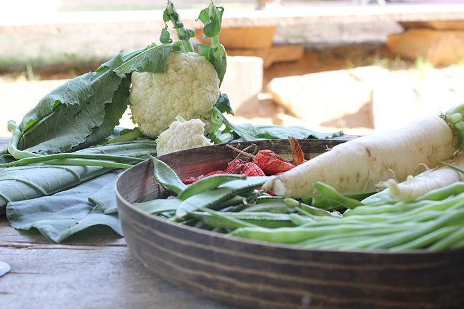 Local Farm and Village Visit With an Authentic Rajasthani Vegetarian Meal - Good To Know