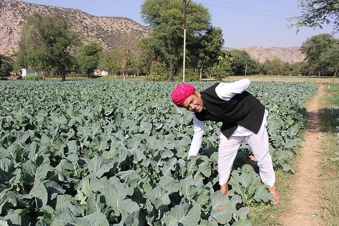 Local Farm and Village Visit With an Authentic Rajasthani Vegetarian Meal - Additional Info