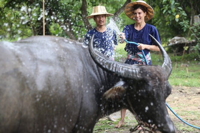 Local Farming Experience in Chiang Mai, Thailand - What Makes This Tour Special?