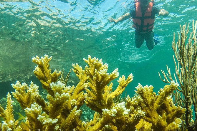 Local Fishing Plus Snorkeling Tour in Isla Mujeres - Inclusions