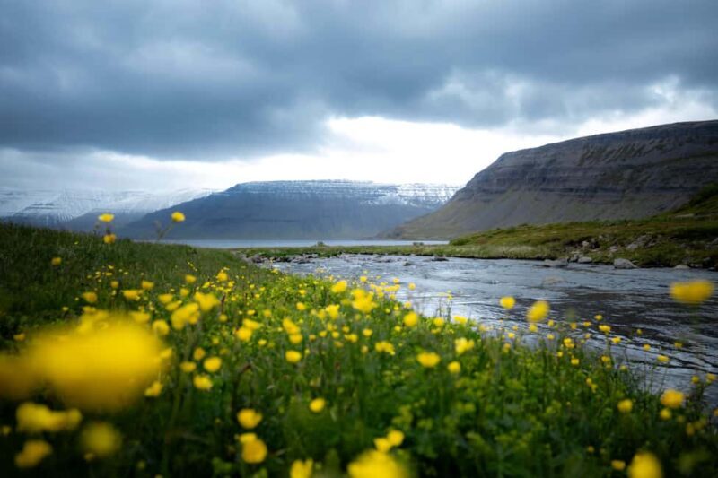 Local Guide Private Tour from Ísafjörður-Flexible Itinerary - The Value of Authenticity