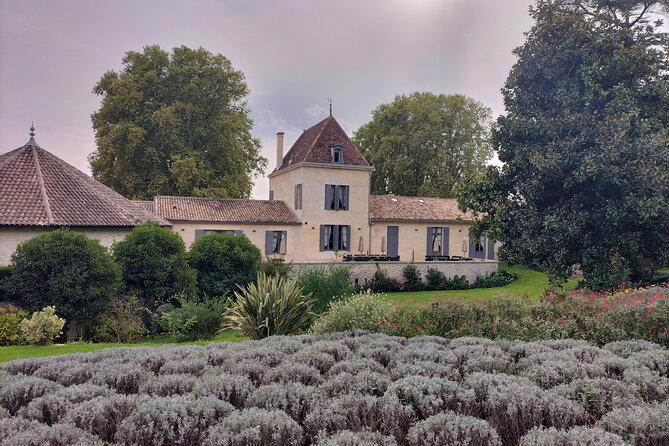 Local Guide - Wine Expert - Private Tour - Meeting and Pickup