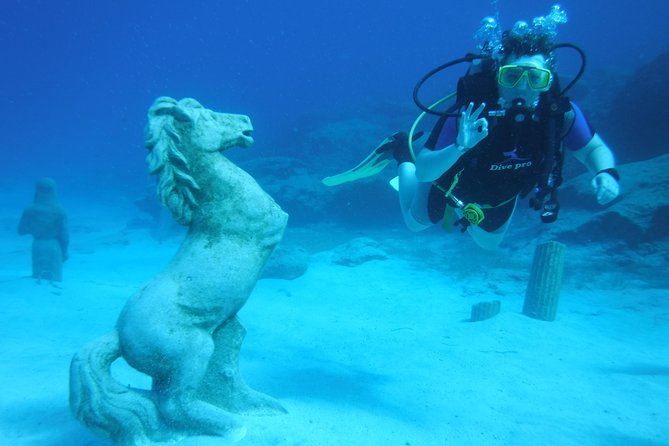 Local Guided Dives (For Certified/Licensed Divers) - Booking Process and Requirements