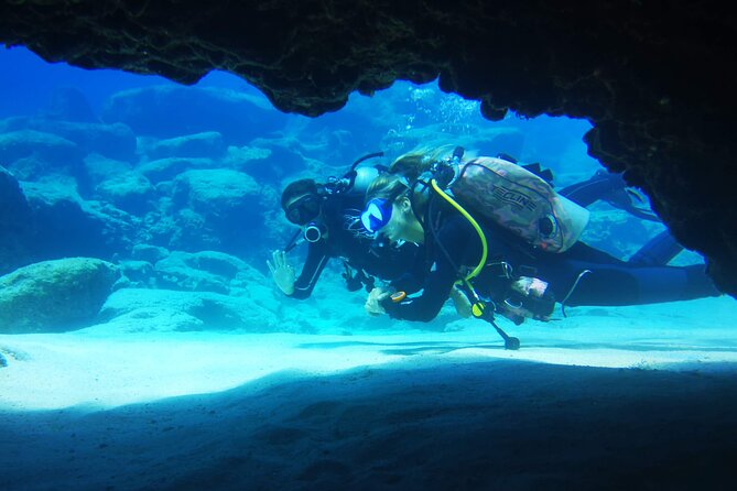 Local Guided Dives (For Certified/Licensed Divers) - The Sum Up