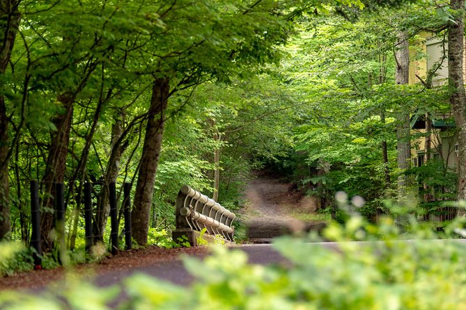 Local Guides Guide You! Karuizawa Pottering Tour - Weather-Dependent Experience