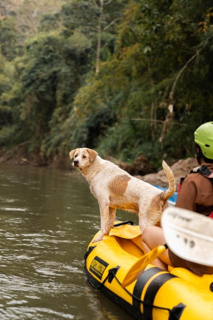 Local Homestay - Cultural Experience Highlights