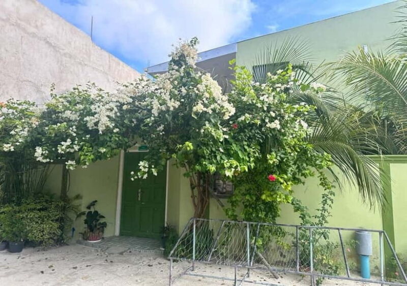 Local island(Himmafushi) tour from Male'/ Hulhumale Maldives - An Authentic Look at Maldivian Island Life