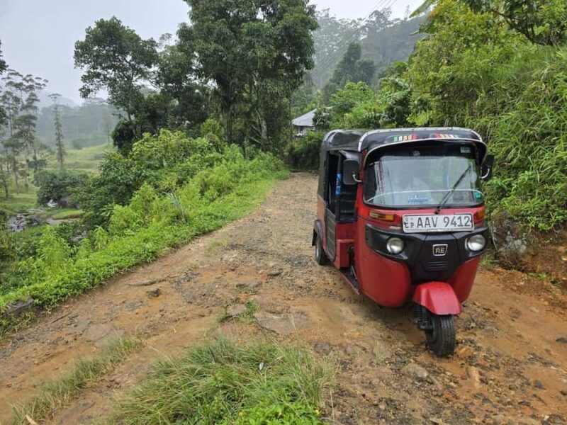 Local Life, Food & Nature Around Kandy by Tuk-Tuk - Final Thoughts: Is It Worth It?