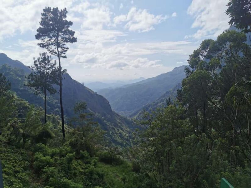 Local Life, Food & Nature Around Kandy by Tuk-Tuk - Good To Know