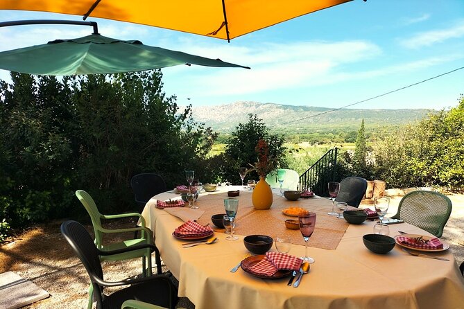 Local Lifestyle Day: Wine Tour, Appetizers Making, Pétanque & Fun - Tour Details