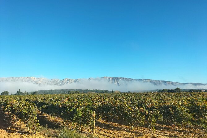 Local Lifestyle Day: Wine Tour, Appetizers Making, Pétanque & Fun - Meeting Point