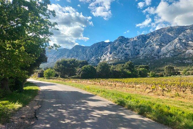Local Lifestyle Day: Wine Tour, Appetizers Making, Pétanque & Fun - Reviews and Testimonials