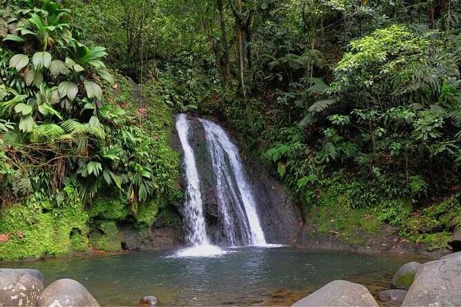 Local Market, Crayfish Waterfall and Rum Distillery with Tasting - Good To Know