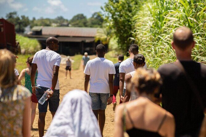 Local Market, Crayfish Waterfall and Rum Distillery with Tasting - Who Should Consider This Tour?