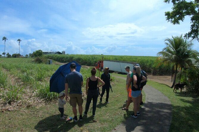 Local Market, Crayfish Waterfall and Rum Distillery with Tasting - FAQs