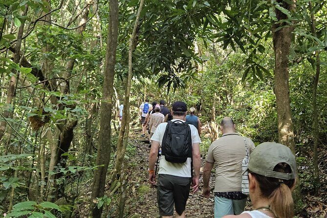 Local Nevisian Kittitian Experience Hikes Bikes & Bees Tour - Local Nevisian Kittitian Experience Hikes Bikes & Bees Tour Review