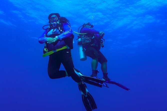 Local Reef Dives for Certified Divers - Dive Experience