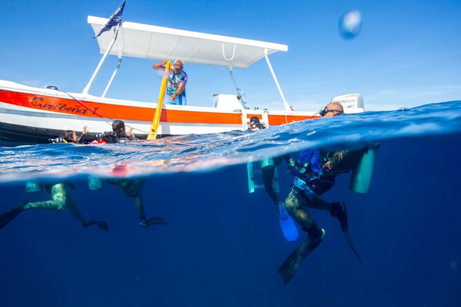 Local Reef Dives for Certified Divers - Cancellation Policy