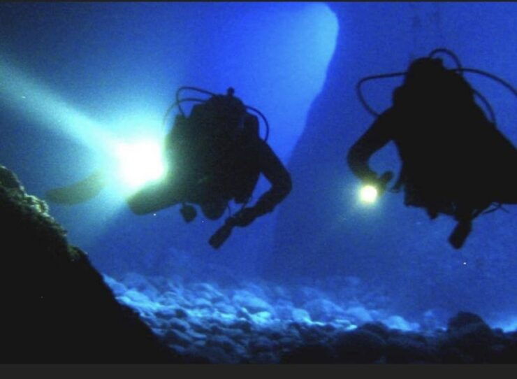 Local Scuba Night Dive - Activity Details