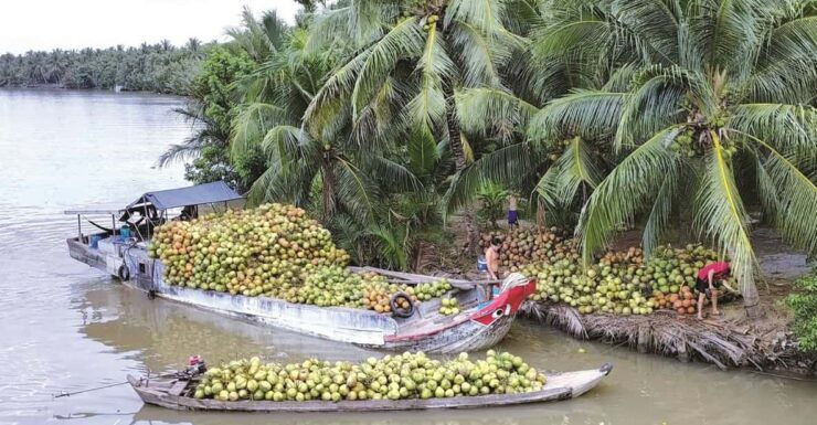 Local Touch-Less Touristy Mekong Delta Ben Tre Day Trip - Good To Know
