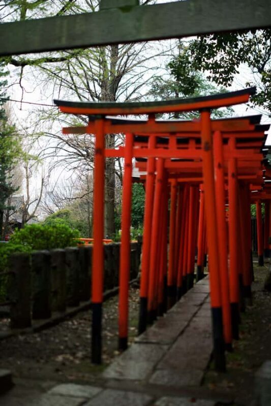 Local tour in Tokyo with a Spanish-speaking guide - FAQs