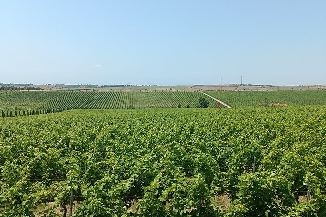 Local Wines - Food - Mythology -Secrets - Unearthing the Secrets: Hidden Gems of the Region
