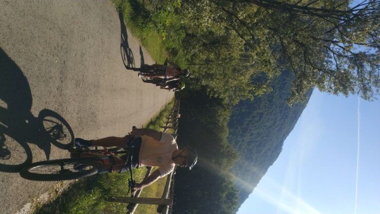 Locarno and Ascona Scenic E-Bike Cycling Tour - Highlights of the Tour
