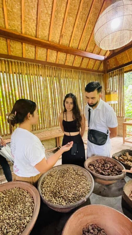 LOCATION: Sebatu Temple Purification & Herbal Garden - Practical Details and Experience Quality