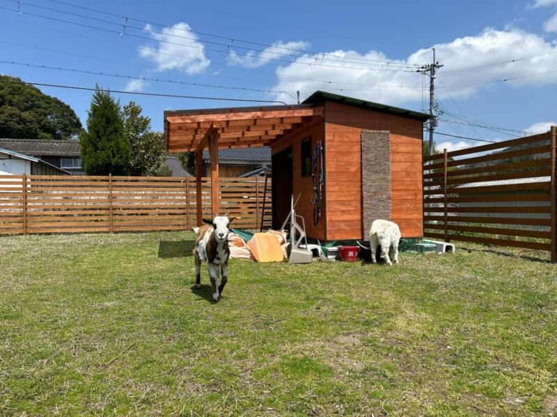 LOCATION:Kyoto City Japanese Caregiving Culture Tour - An Introduction to the Kyoto City Japanese Caregiving Culture Tour