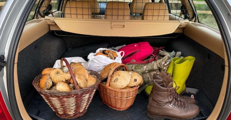 Loch Lomond: Guided Wild Food Forage & Feast - Experience and Highlights
