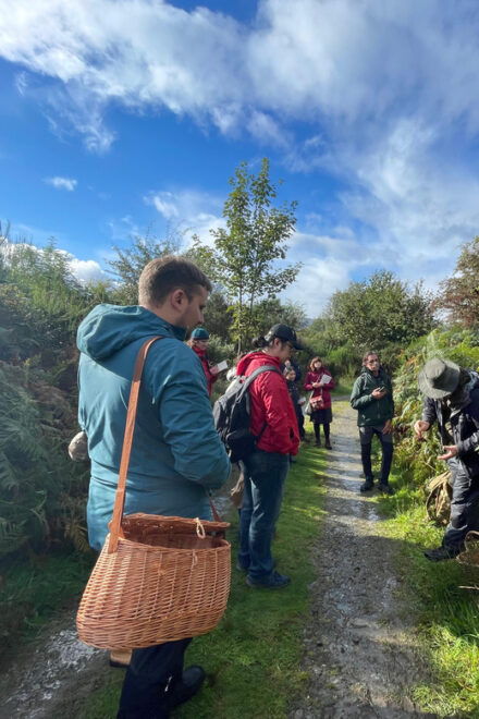 Loch Lomond: Guided Wild Food Forage & Feast - Guided Foraging and Preparation