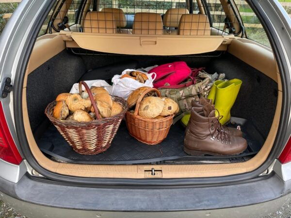Loch Lomond: Guided Wild Food Forage & Feast - Frequently Asked Questions