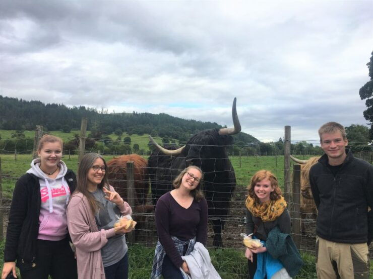 Loch Lomond National Park Tour With 2 Walks - From Glasgow - Experience Highlights