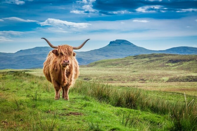 Loch Lomond National Park Tour With 2 Walks Starting Glasgow - Overview of Loch Lomond National Park Tour